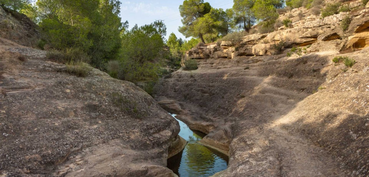 Sale - Bungalow -
Algorfa - La Finca Golf Resort