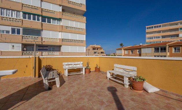Sale - Apartment / flat -
La Mata