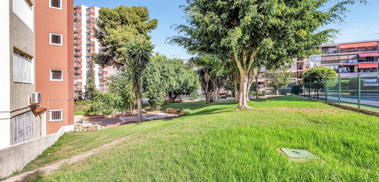 Sale - Apartment / flat -
Benidorm