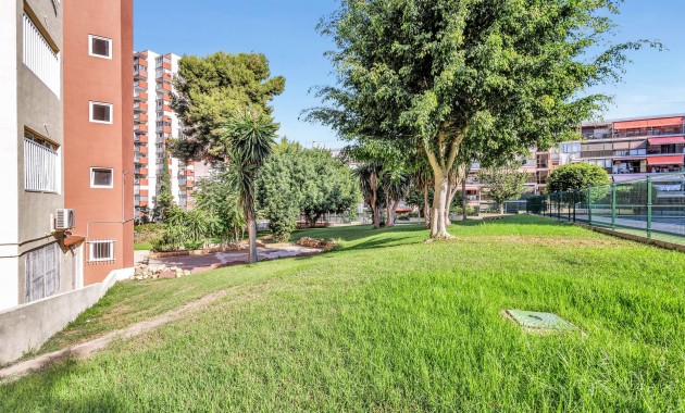 Sale - Apartment / flat -
Benidorm
