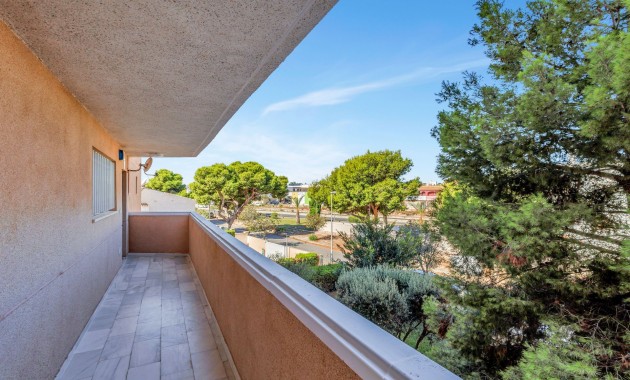 Sale - Apartment / flat -
Cabo Roig
