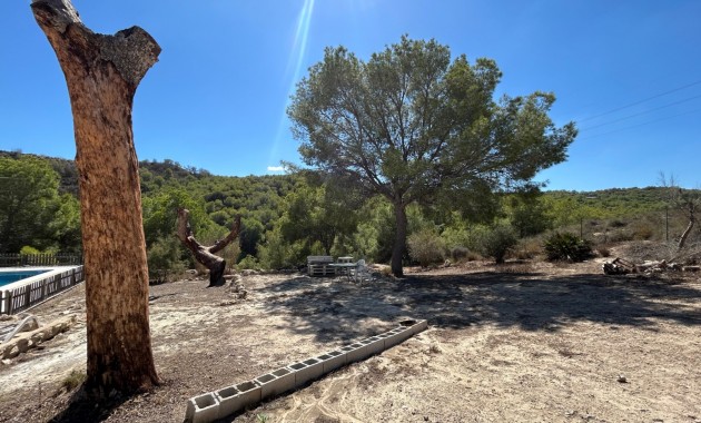 Sale - Country Property/Finca -
Torremendo