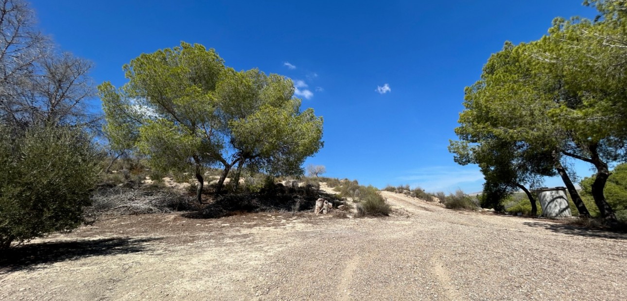 Sale - Country Property/Finca -
Torremendo