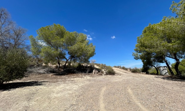 Sale - Country Property/Finca -
Torremendo
