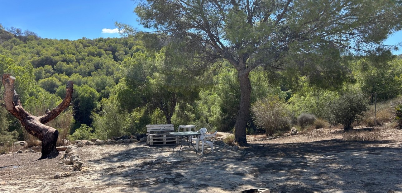 Sale - Country Property/Finca -
Torremendo