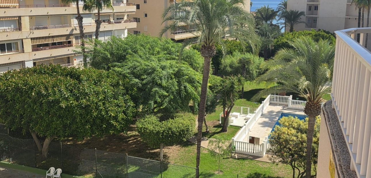 Sale - Apartment / flat -
Torrevieja - Estacion de autobuses