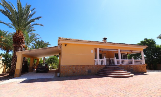 Sale - Country Property -
Catral - Catral - Country