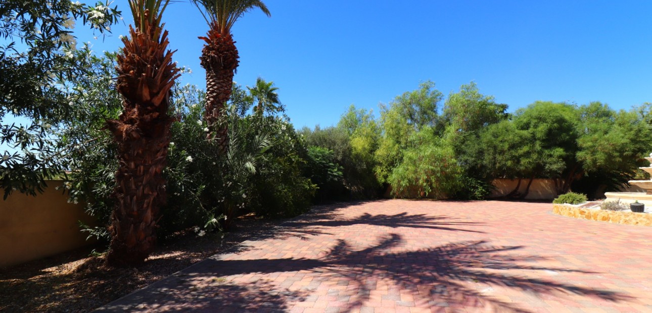 Sale - Country Property -
Catral - Catral - Country
