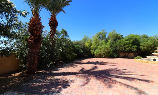 Sale - Country Property -
Catral - Catral - Country