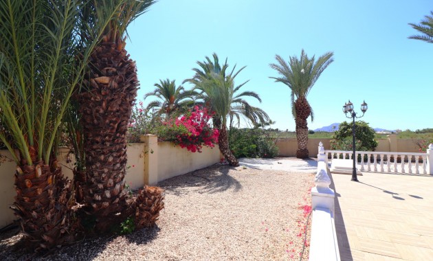 Sale - Country Property -
Catral - Catral - Country