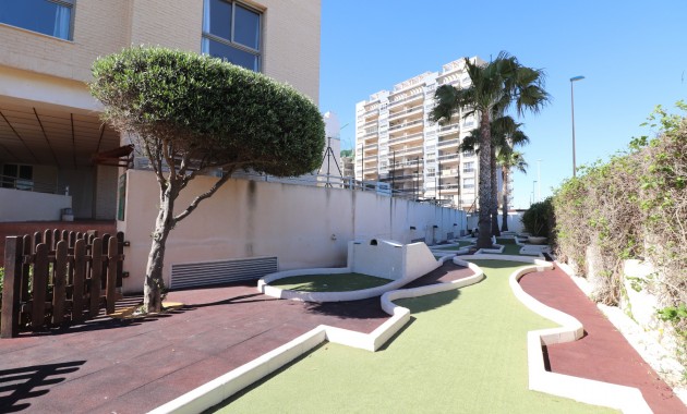 Venta - Duplex -
Guardamar del Segura - Guardamar del Segura - Town