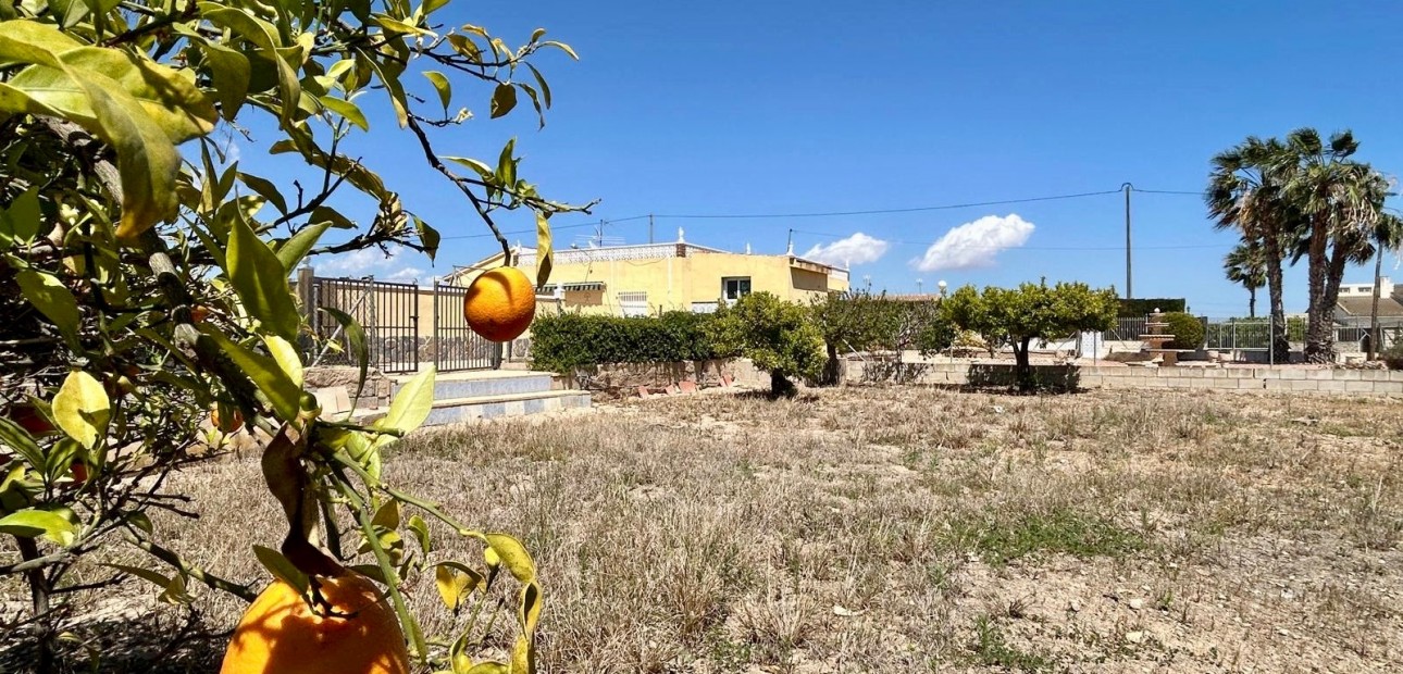 Venta - Country Property -
Crevillente